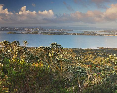 About Rangitoto - Rangitoto Island Historic Conservation Trust