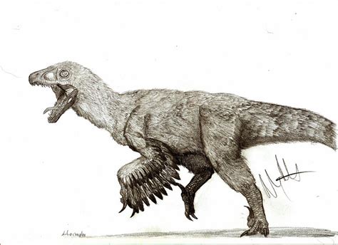 Atrociraptor Pictures & Facts - The Dinosaur Database