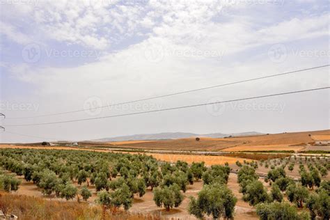 Arid landscape view 14788461 Stock Photo at Vecteezy