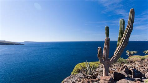 La Paz Beaches, Mexico: A Beach Hopper’s Paradise - Bookaway