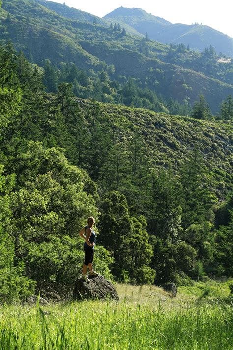 Hiking Mount Tamalpais - Whimsy Soul | Mount tamalpais, Hiking gear list, Travel life