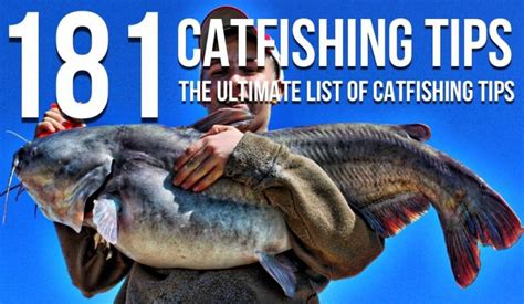 Catfishing Tips: The Ultimate List Of Catfishing Tips