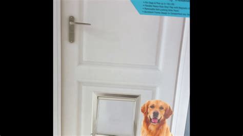 Dog door installation - YouTube