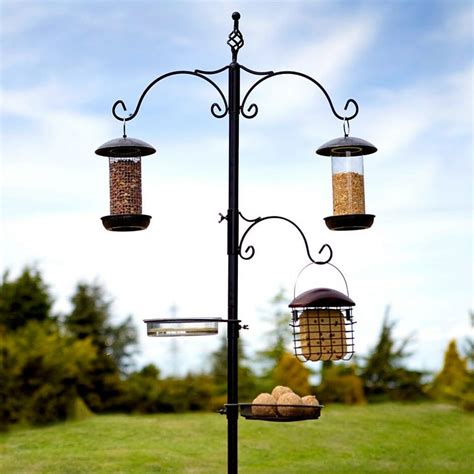 Best Bird Feeder Poles [2022's Top 5 Reviewed] - Birdwatching Buzz