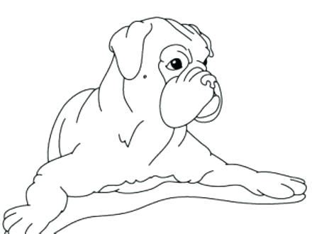 Boxer Puppy Coloring Pages at GetColorings.com | Free printable colorings pages to print and color