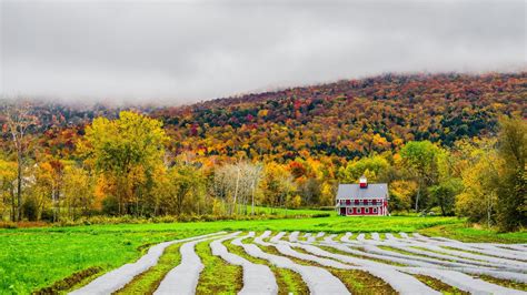 Download Field Forest Tree Fall Landscape Man Made Farm 4k Ultra HD ...