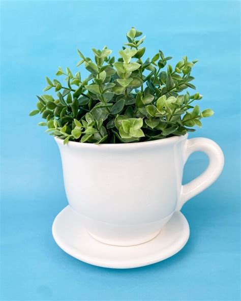 Ceramic Pot With Saucer Ceramic Plant Saucer Pot Indoor Ceramic Plant – Ibarra Imports