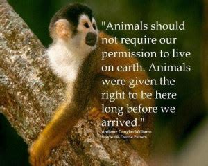 Respect For Animals Quotes. QuotesGram