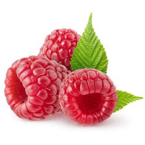 Heritage Red Raspberry Bush