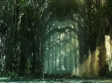 Gothic Forest Background. at 7 58 pm labels cool forest . Fantasy art landscapes, Fantasy forest ...