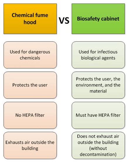 Biosafety Cabinet Types Differences | Cabinets Matttroy