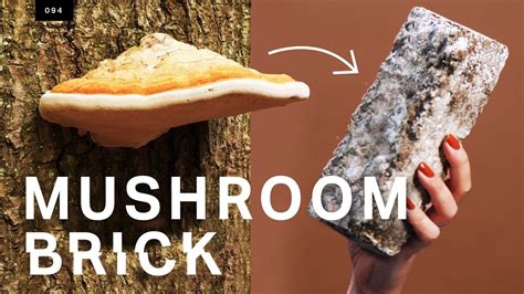 This mushroom brick could replace concrete - YouTube