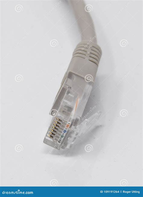 RJ45 CAT5 cable stock photo. Image of information, ethernet - 109191264