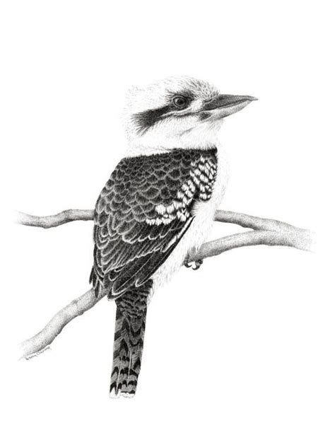 FINE ART PRINT // Kookaburra // Open Edition // Artwork // Bird ...