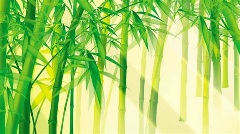 Bamboo Pictures Wallpaper (67+ images)