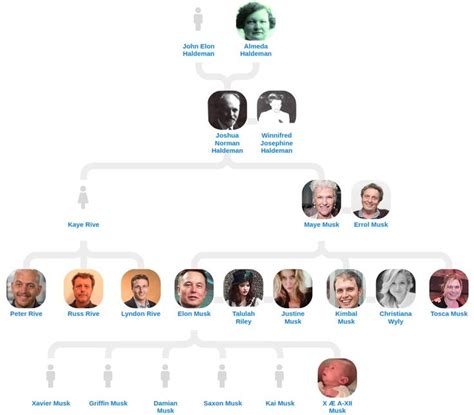 Elon Musk's Family Tree | Family tree, Elon musk family, Elon musk