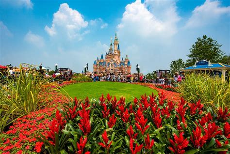 Shanghai Disneyland Grand Opening Report - Part 3 - Disney Tourist Blog