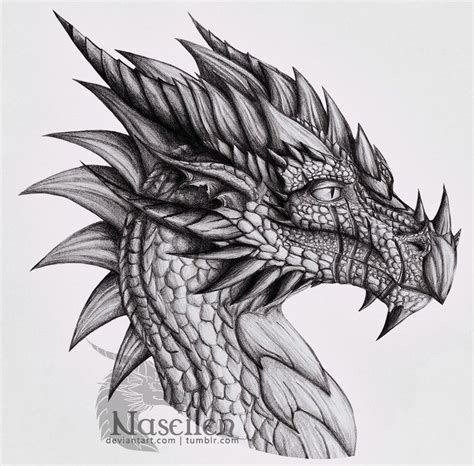 Another dragon for . Well, that was a kind of interesting experiment. I've started this one ...