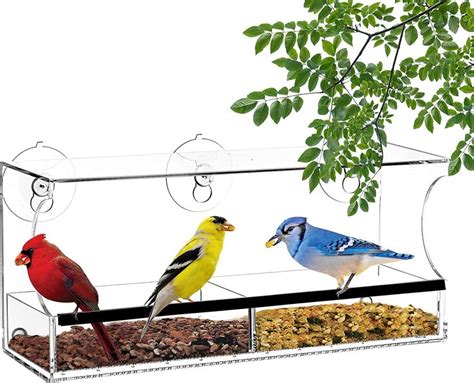 three birds perched on top of a bird feeder