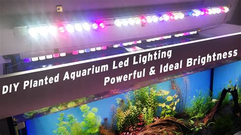 Diy Led Aquarium Light Planted Tank | Shelly Lighting