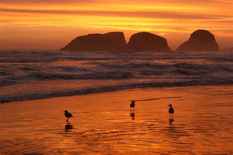 Cannon beach, Ecola state park, State parks