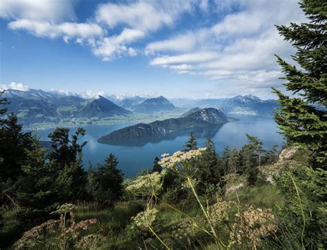 Rigi Panoramic Trail | zuerich.com