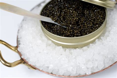 Flavour of the month: caviar - hospitality | Magazine