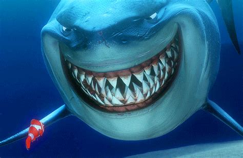 Bruce Attack Finding Nemo On Make A Gif - vrogue.co