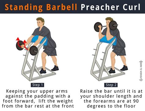 Barbell Preacher Curl: What is it, How to do, Muscles Worked