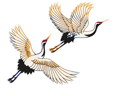 Bird Crane, Birds, Crane, Bird PNG Transparent Clipart Image and PSD ...