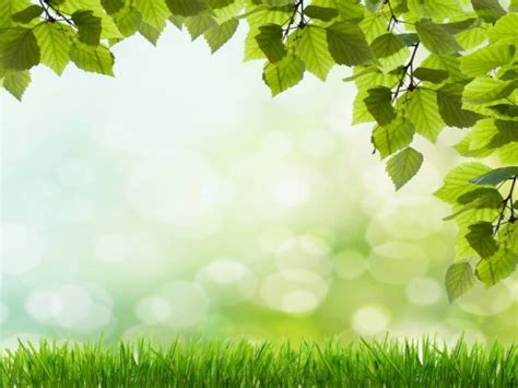 http://www.pptback.com/uploads/nature-beautiful-green-grass-backgrounds-p… | Background ...