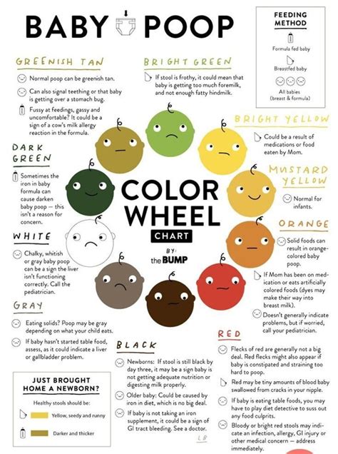 Poop Color Chart For Kids