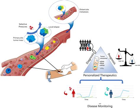 Updates on liquid biopsy: current trends and future perspectives for clinical application in ...