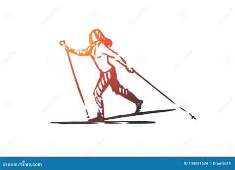 Cross, Country, Skiing, Winter, Sport Concept. Hand Drawn Isolated Vector. Stock Vector ...