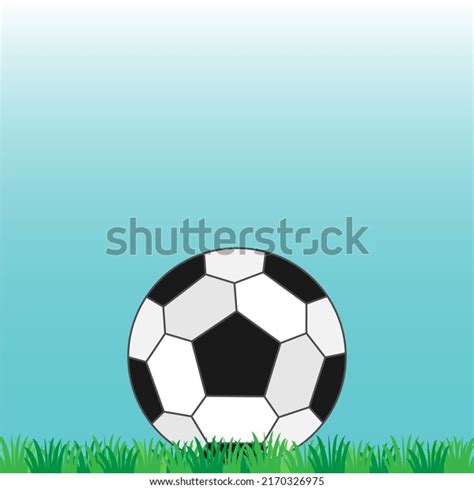 Soccer Ball On White Background Vector Stock Vector (Royalty Free ...