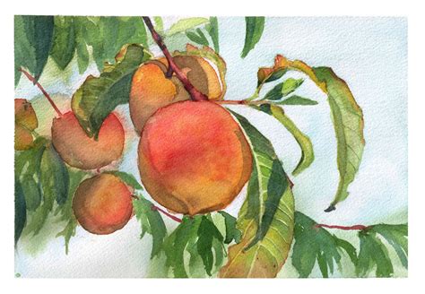 Peach Tree Watercolor Painting / Wall Art / Digital Download / - Etsy