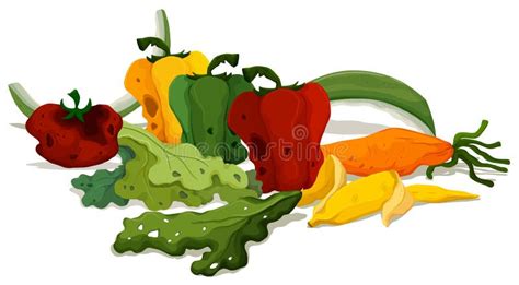 Rotten Vegetables on the Floor Illustration Stock Vector - Illustration ...