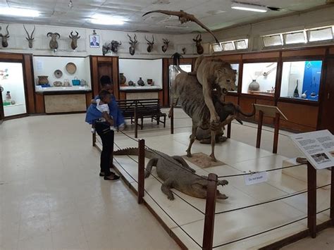 Kisumu museum - 2021 Qué saber antes de ir - Lo más comentado por la gente - Tripadvisor