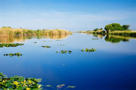 Everglades National Park Entrance Fee Increase Explained ...