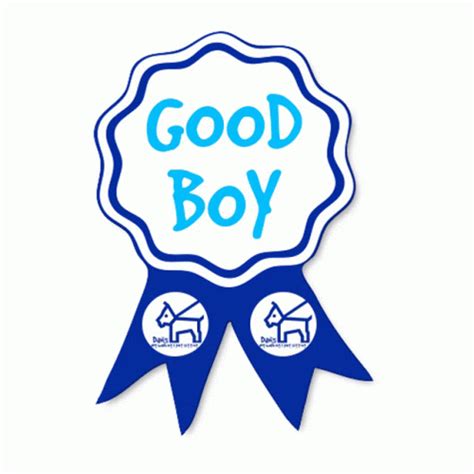 Good Boy Dog Sticker - Good Boy Dog Dogs - Discover & Share GIFs