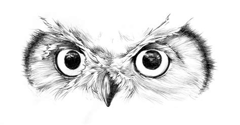 Owl by Murillo Chibana | Owl eye tattoo, Owl tattoo drawings, Owl eyes