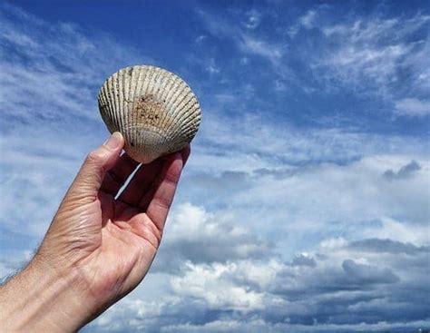 Top 10 beachcombing tips, a great family activity - Coast Radar