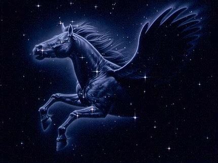 Who Discovered Constellation Pegasus | Who Guides