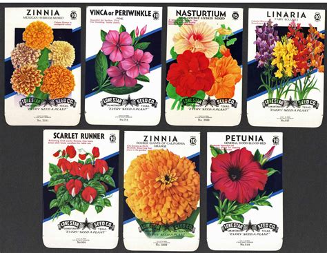 A Collection of 15 Vintage Flower Seed Packets – thelabelman