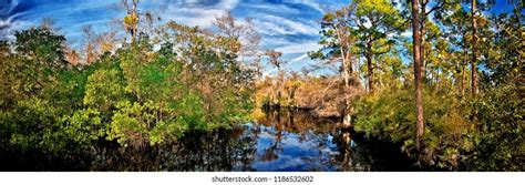 741 Loxahatchee Stock Photos, Images & Photography | Shutterstock