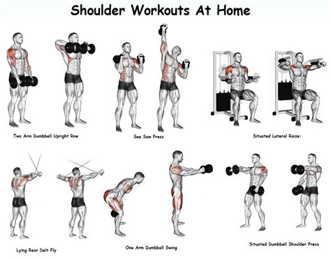 List of Best Known And Professional Recommended Shoulder Workouts For ...