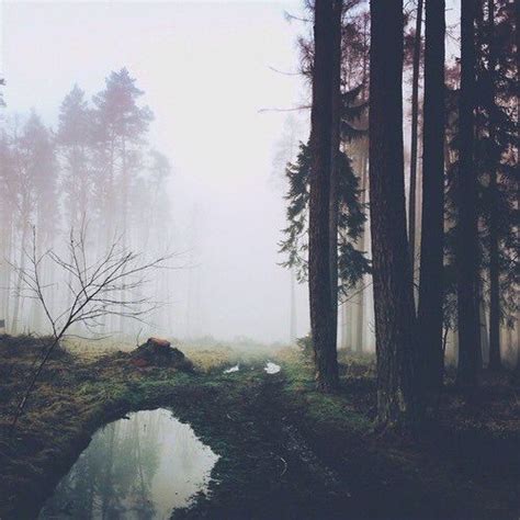 835 best Gothic forest images on Pinterest | Forests, Landscapes and Nature