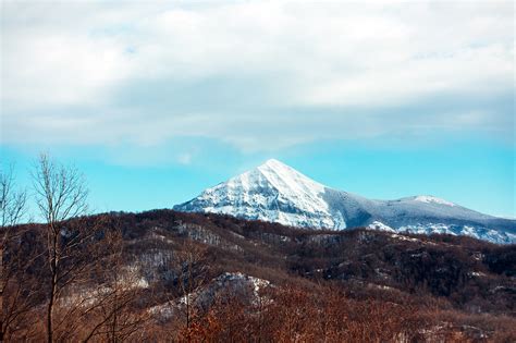 Mt. Alpi over Red Trees - Vincos Images