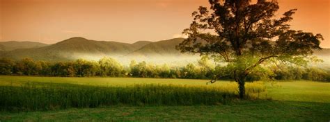 Cades Cove Loop Road – Smokies Guide