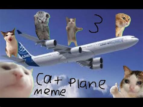 Cat plane meme 3 - YouTube